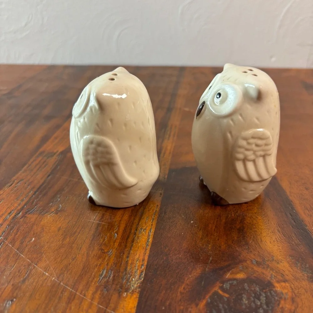Pier One Imports Ceramic Owl Salt and Pepper Shakers Cream Brown Set of 2